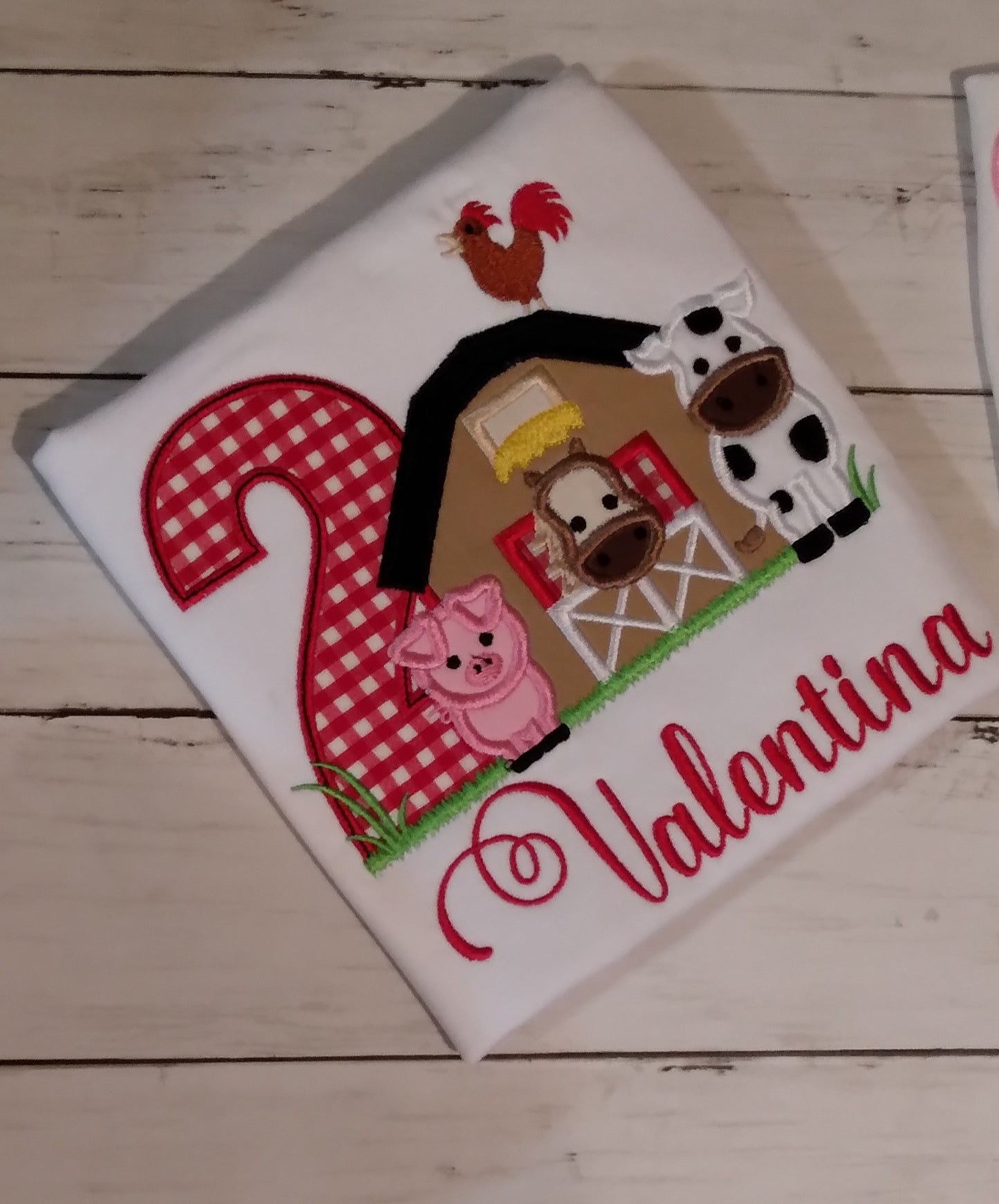 Embroidered Personalized Birthday T-Shirt